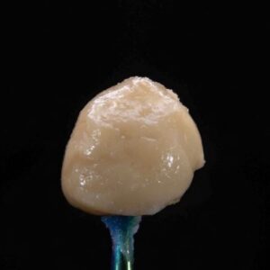 PENJAMIN FROZEN PEACHES 2G SINGLE SOURCED LIVE ROSIN PUCKS CONCENTRATE