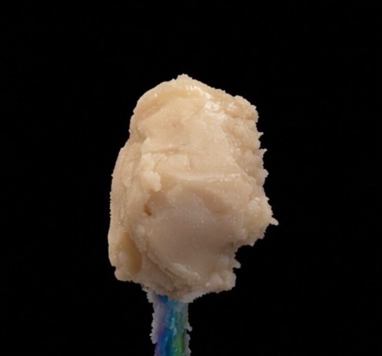 Penjamin Bloogati 2G Single Sourced Live Rosin Pucks