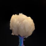 PENJAMIN PIE HOE 2G SINGLE SOURCED LIVE ROSIN PUCKS CONCENTRATE